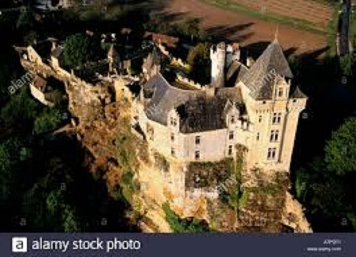 Les Pruniers De La Cipiere Peyzac-le-Moustier Exterior foto
